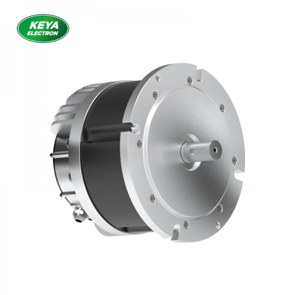 星际在线登录215系列48V 4000W 1500RPM